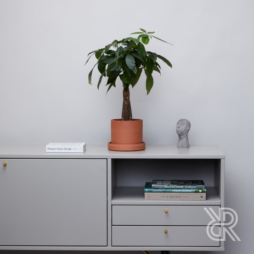 Горшок d14 Terracotta Горшки для комнатных растений